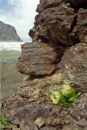 The mountain range Central Ti...