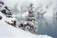 Big Almaty lake. National par...