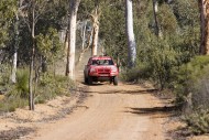 Australia Safari Rally 2007, ...