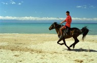 Young rider on a horse, Kazak...