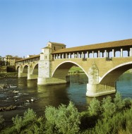Ponte Coperto (Coperto Bridge...