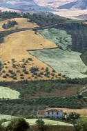 Cultivated landscape, Valle d...