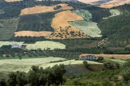 Cultivated landscape, Valle d...