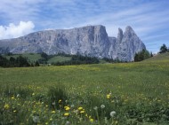 Mt. Sciliar or Schlern, L\'Al...
