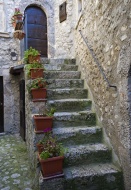 Stairs with a door and flower...
