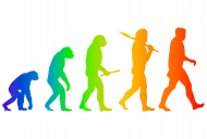 Human evolution, sequence, sy...