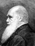 Charles Darwin, drawing from ...