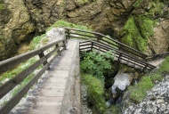Wooden paths in the Wasserman...
