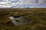 On the Roof of the World near...