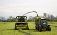 Grass harvest for a biogas pl...