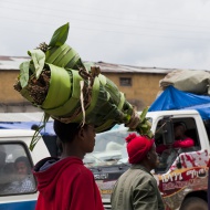 Man carrying Khat on his head...