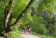 Philosophenweg trail, Heidelb...