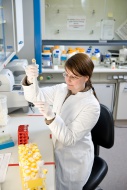 Laboratory assistant at the R...
