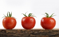 Three tomatoes on a rustic wo...