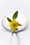 Spoon with a yellow flower