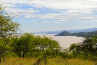 View over trees of the savann...