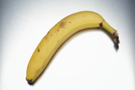 Banana (Musa sp.)