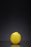 Lemon (Citrus limon) on a dar...