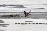 Salt workers in a salt lake, ...