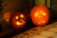 Halloween pumpkins in a hallway