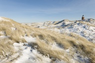 Dunes in the snow, marram gra...