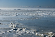Frozen North Sea with the Hal...