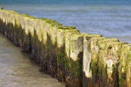 Groynes on Darsser Weststrand...