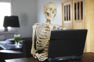 Skeleton using a computer
