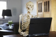 Skeleton using a computer