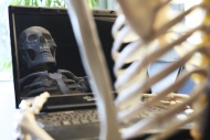 Skeleton using a computer wit...