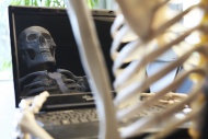 Skeleton using a computer wit...