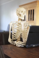 Skeleton using a computer