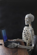 Skeleton using a computer