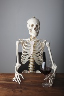 Skeleton holding a glass of r...