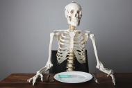 Skeleton sitting at a laid ta...