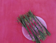 Bunched sedge grass on plate,...