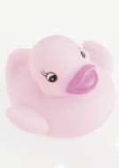 Rubber duck on white background