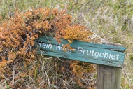 Sign, \"\"Kein Weg Br...
