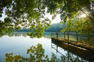 Pond in the morning light, Qu...