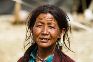 Ladakhi nomad woman, portrait...