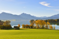 Autumn morning on Forggensee ...