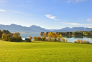 Autumn morning on Forggensee ...
