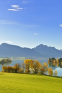 Autumn morning on Forggensee ...