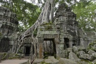 Ta Prohm temple complex overg...
