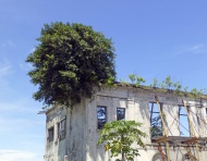 Dilapidated house in the hist...