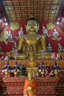 Buddha figures, Viharn Phra P...