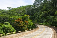 Road from Kilauea to Princevi...