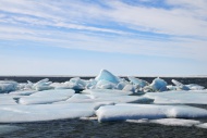 Ice floes in the Beaufort Sea...