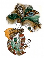 Illustration of peacock desig...