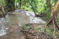 Cascade, Chiang Mai, Thailand